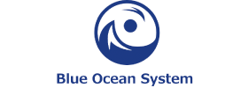 Blue Ocean System